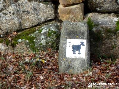 Gran Cañada; Cordel de la Pedriza; club de viajes; caminos y senderos;rutas de senderismo en cuenca